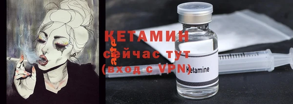 гидра Коряжма