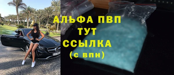 прущие грибы Костерёво