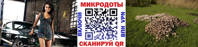 Галлюциногенные грибы Magic Shrooms  магазин  наркотиков  Малая Вишера 